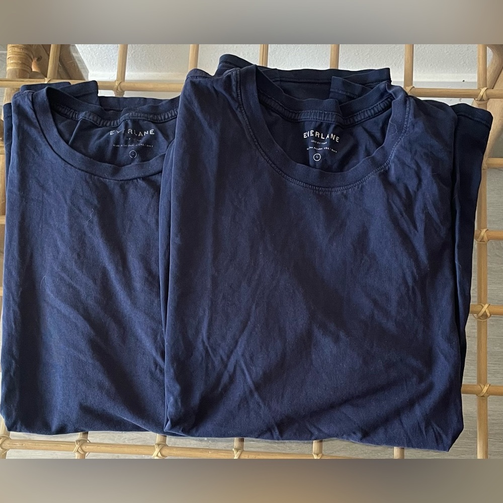 2 Large blue Everlane T-shirts.